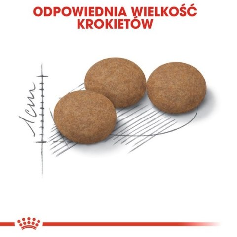 Royal Canin Ageing +12 Sterilised karma sucha dla kotów dojrzałych, sterylizowanych 2kg Royal Canin Ageing +12 Sterilised karma sucha dla kotów dojrzałych, sterylizowanych 2kg