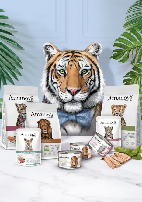 Amanova Cat Chicken & Tuna - kurczak i tuńczyk w bulionie puszka 70g [05]