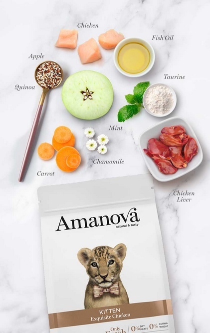 Amanova Cat Kitten Exquisite Chicken - kurczak 1,5kg Amanova Cat Kitten Exquisite Chicken - kurczak 1,5kg