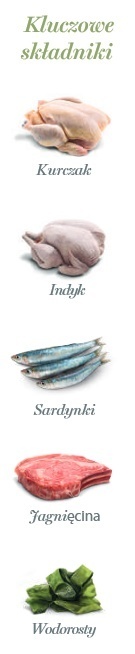 Amanova Cat Sterilised Lamb & Sardines - jagnięcina i sardynki saszetka 85g Amanova Cat Sterilised Lamb & Sardines - jagnięcina i sardynki saszetka 85g