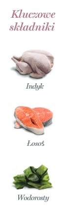 Amanova Cat Tasty Salmon & Turkey - łosoś i indyk saszetka 85g Amanova Cat Tasty Salmon & Turkey - łosoś i indyk saszetka 85g