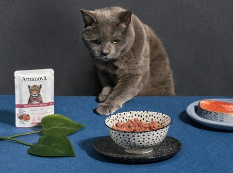 Amanova Cat Tasty Salmon & Turkey - łosoś i indyk saszetka 85g Amanova Cat Tasty Salmon & Turkey - łosoś i indyk saszetka 85g