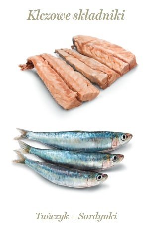 Amanova Cat Tuna & Sardines - tuńczyk i sardynki w galaretce puszka 70g Amanova Cat Tuna & Sardines - tuńczyk i sardynki w galaretce puszka 70g