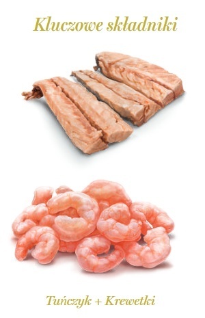 Amanova Cat Tuna & Shrimps - tuńczyk i krewetki w galaretce puszka 70g Amanova Cat Tuna & Shrimps - tuńczyk i krewetki w galaretce puszka 70g