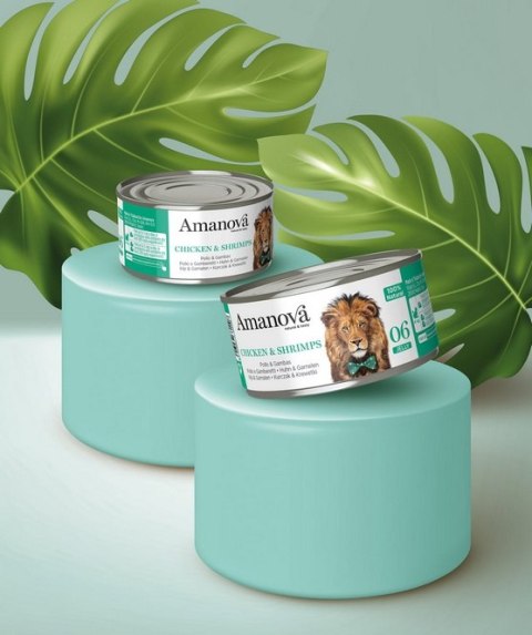Amanova Cat Chicken & Shrimps - kurczak i krewetki w galaretce puszka 70g Amanova Cat Chicken & Shrimps - kurczak i krewetki w galaretce puszka 70g