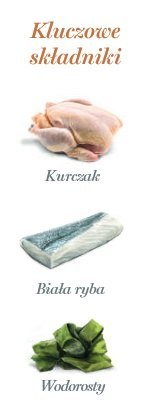 Amanova Cat Kitten Chicken & Fish - kurczak i biała ryba saszetka 85g