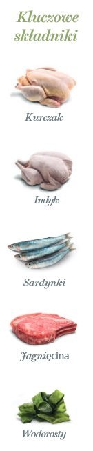 Amanova Cat Sterilised Lamb & Sardines - jagnięcina i sardynki saszetka 85g Amanova Cat Sterilised Lamb & Sardines - jagnięcina i sardynki saszetka 85g