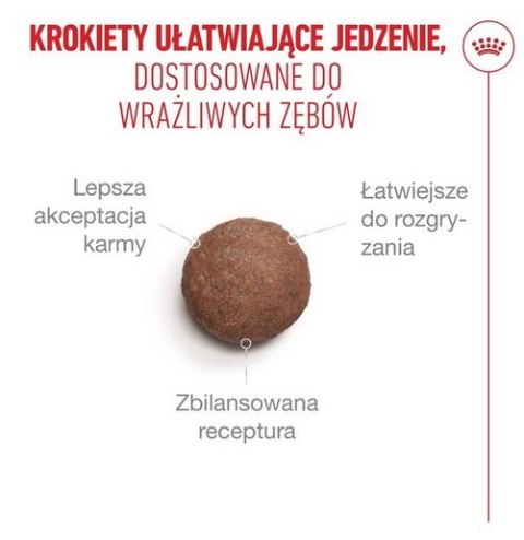 Royal Canin Ageing +15 karma sucha dla kotów dojrzałych 400g Royal Canin Feline