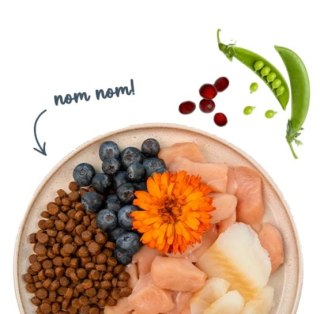 Sanabelle Adult Forelle - z pstrągiem 2kg Sanabelle