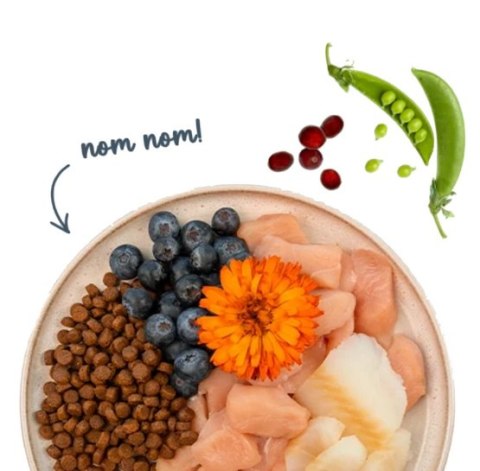 Sanabelle Adult Forelle - z pstrągiem 2kg Sanabelle