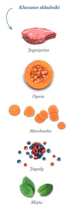 Amanova Cat Adult Delicious Lamb - jagnięcina 4kg