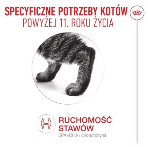 Royal Canin Ageing +11 karma mokra dla kotów dojrzałych w galaretce saszetka 85g