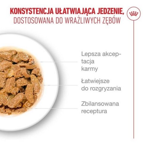 Royal Canin Ageing +11 karma mokra dla kotów dojrzałych w sosie saszetka 85g