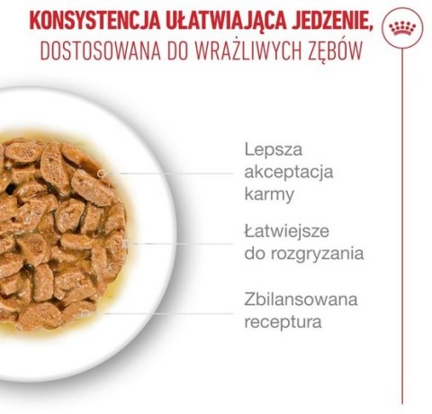 Royal Canin Ageing +15 karma mokra dla kotów dojrzałych w sosie saszetka 85g