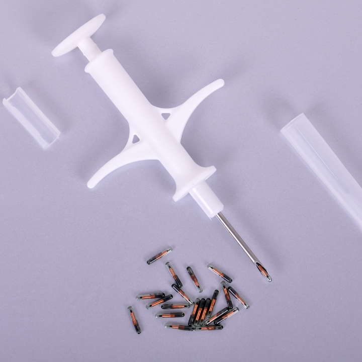 Koci PESEL obowiazkowe czipowanie KROPiK poradnik Mruczu