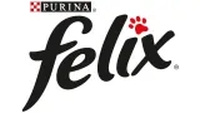 Felix Fantastic